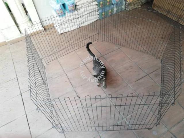 Carousel Image