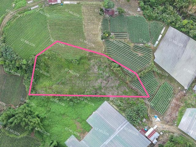 kundasang 0.8acre for sale 200k 2