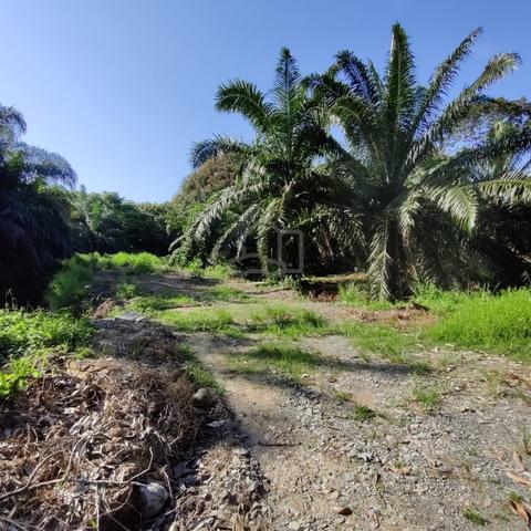 Freehold Agriculture Land with Road Access Bekenu Miri 1