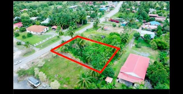 Tanah Tepi Jalan Kg Sg Serai Chuping Perlis 1