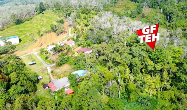 24.16 acre Lowest Price Agricultural Land | Pengkalan Hulu | Perak 1