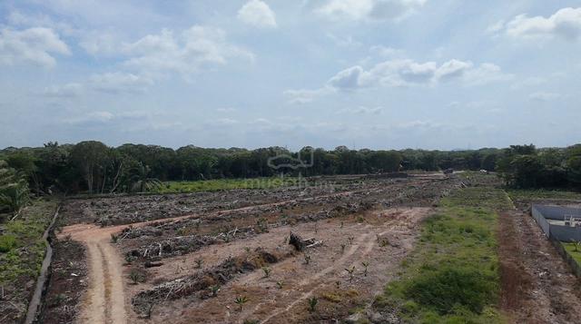 Agriculture Land For Sale Sijangkang Telok Panglima Garang Klang!! 1