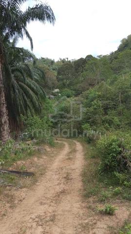 For Sale: Tanah Pinggir Bukit Pancur, Melaka Pindah Alor Gajah 1