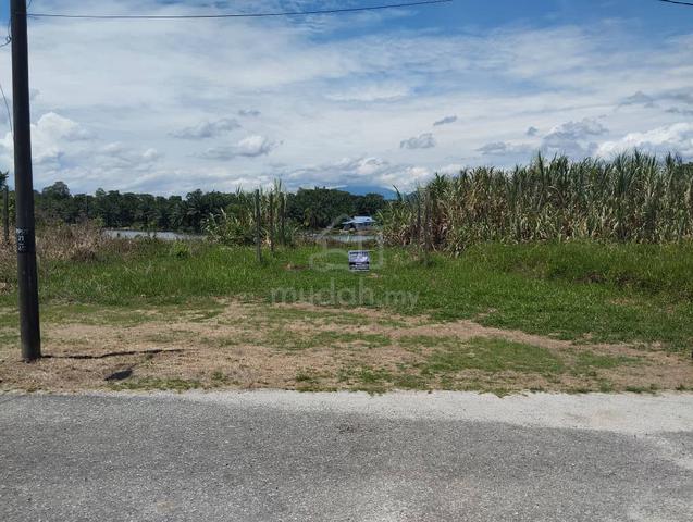 Lot Banglo untuk di jual  1
