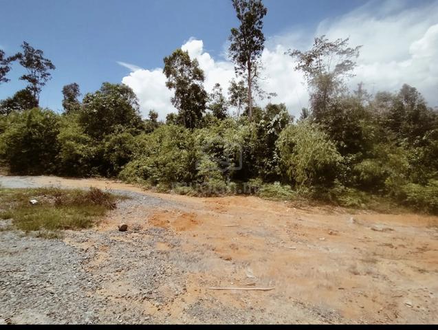 488 Ekar Tanah Pertanian DI TERENGGANU 1
