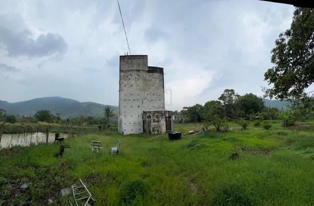 broga 1