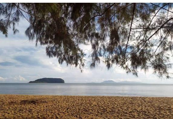 Terengganu Besut Residential Freehold Land For Sale 1