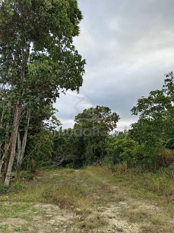 Lot Banglo 5000kps di Kg Pulau Isi Temerloh Pahang 1