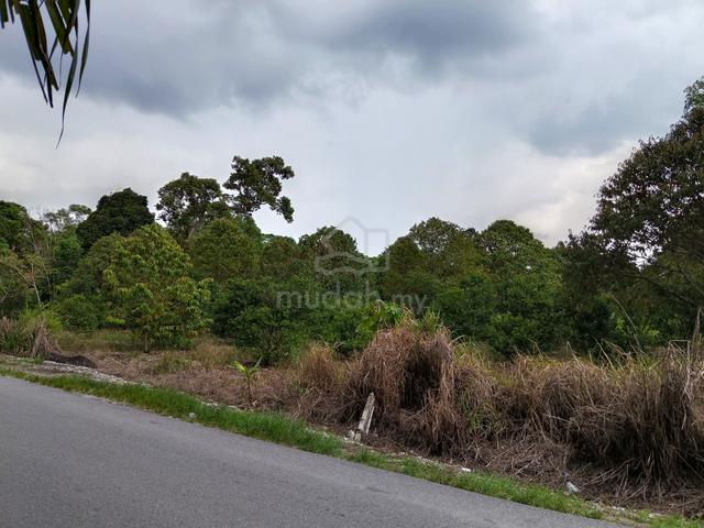 Road side Agriculture durian farm land 1