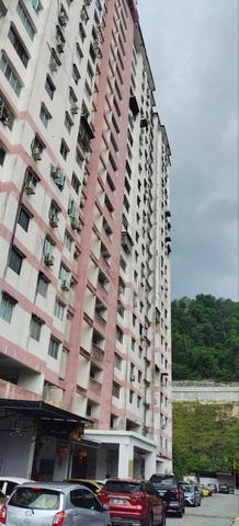Greenlane Heights 1