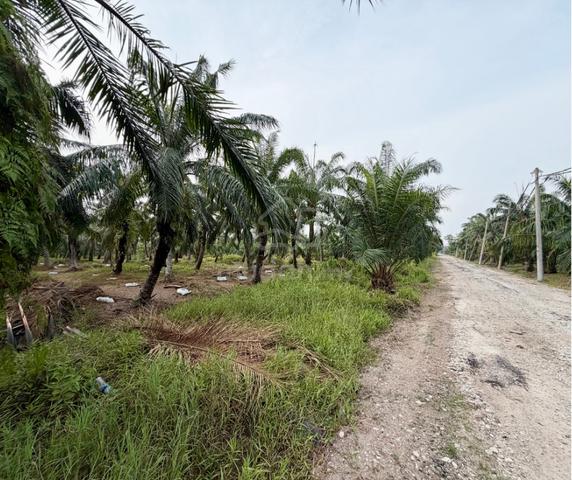 2 - 4 Acres Agricultural Land @ Sg. Yu, Kuala Selangor 1