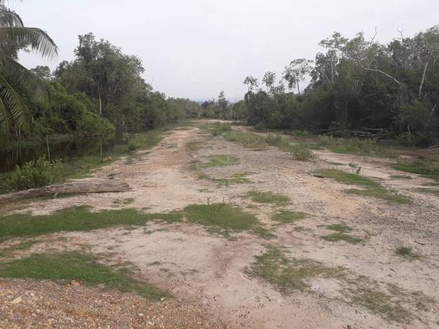 Sabah Tuaran Freehold Land For Sale 1