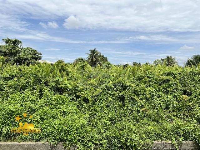 Land for Sale near King Centre Kuching 1