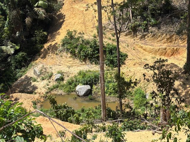 Tanah 2 Ekar Milik Kekal Untuk Dusun dan Rumah Kebun di Kuala Pilah 1