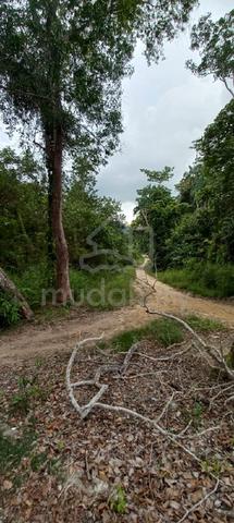 Tanah untuk dijual di Pulau Pangkor,Perak,keluasan 3 ekar  1
