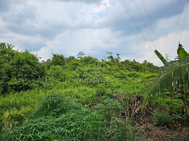 Stakan Land for Sale 1