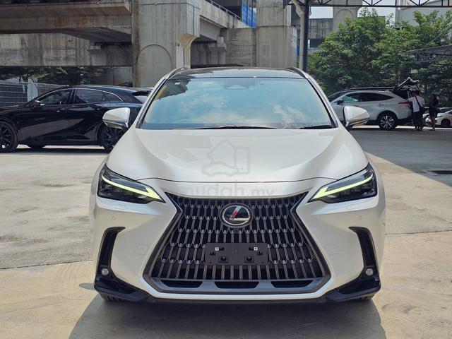 2023 Lexus NX250 2.5 LUXURY (A) White - 2
