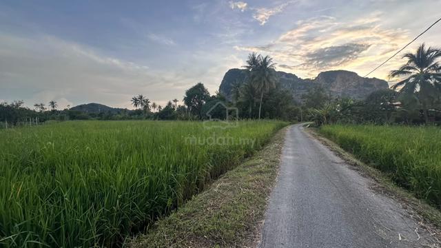 TANAH UNTUK DIJUAl (View bendang dan Bukit Chuping) 1