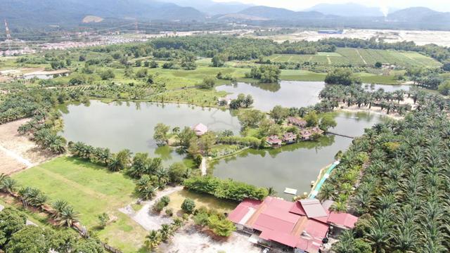 21-Room RESORT & LEISURE FARM FOR SALE | TAIPING | RM5.5M |12+80 ACREs 1