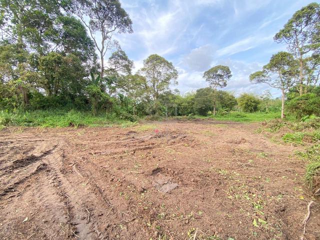 Tanah Pertanian dgn Lot  Banglo, Hulu Langat Belakang IKBN utk disewa 4