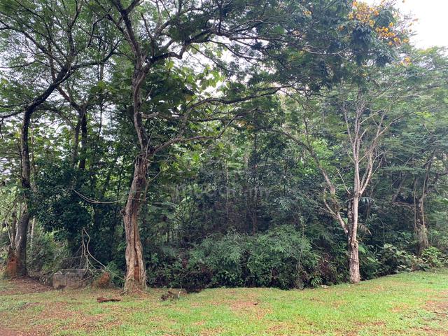Corner residential land for sale in bukit beruntung golf 1