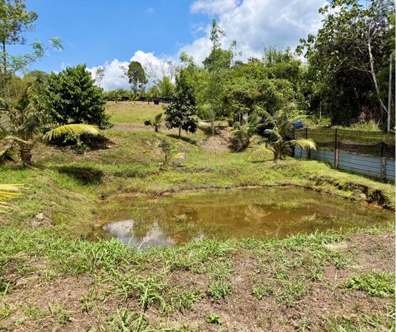 1.93 Acres Agricultural Land Sungai Jang Kerling 1
