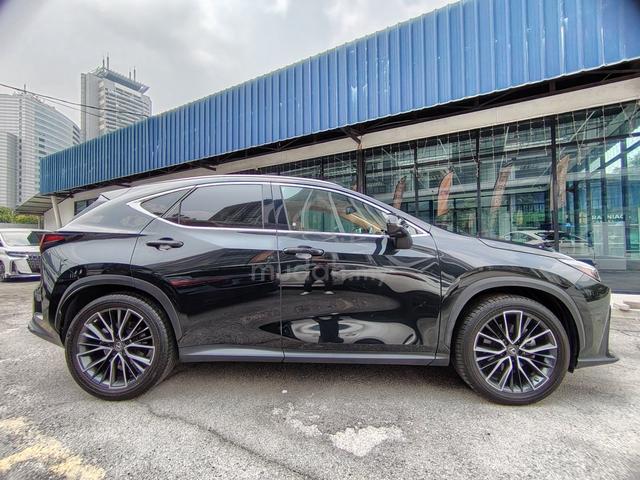 2023 Lexus NX250 2.5 VERSION-L (A) GRADE 4.5B - 5