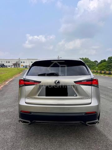 2018 Lexus NX300 2.0 (A) - 3