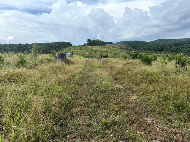 5 acres Road Side Pond TNB SAJ Kota Tinggi 1