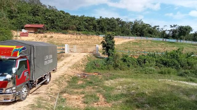 Tanah ladang untuk disewa, tanah siap dibersihkan. 2