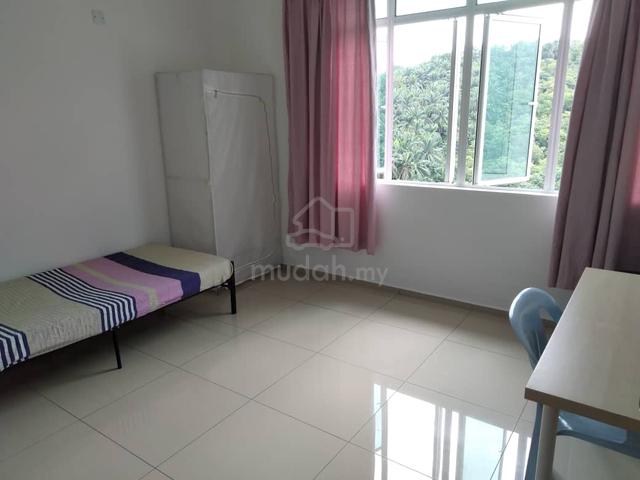 KLIA 1 & 2 Medium Room Male Unit for RENT 1