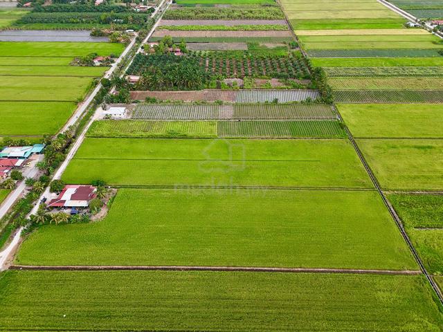 Tanah Pertanian SAWAH PADI Sekinchan 3 Ekar 1 Geran 5