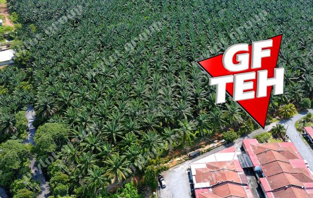 192 acres Industrial Land | Kuala Muda | Gurun | Kedah | RM12 psf 3