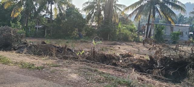 Tanah untuk di jual di kedah 1