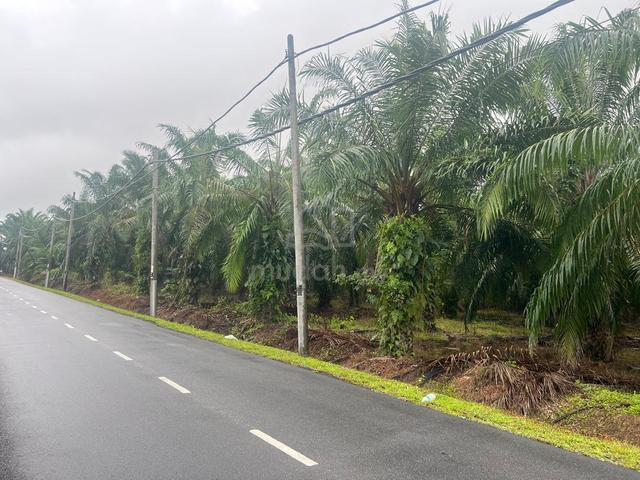 2.9 ekar 5 minit ke pantai kelanang 1