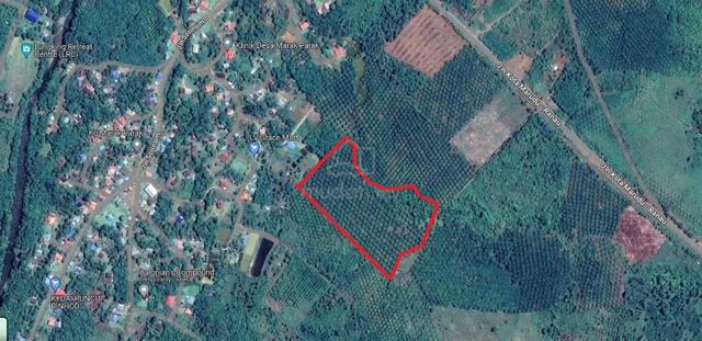 Kota Marudu 11 acres Palm Oil Land For Sale 1