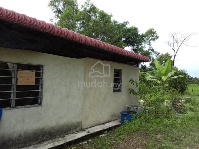 Kedah Merbok Freehold Land For Sale 1