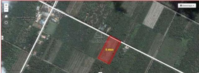 tanah sawit kampung banting sabak bernam utk dijual 1