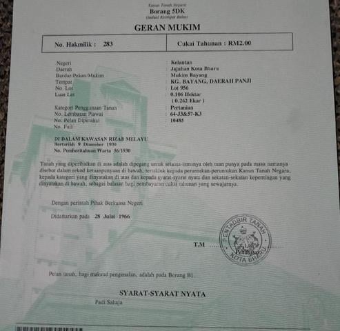 Tnah area kota bharu-Baung Bayam 1