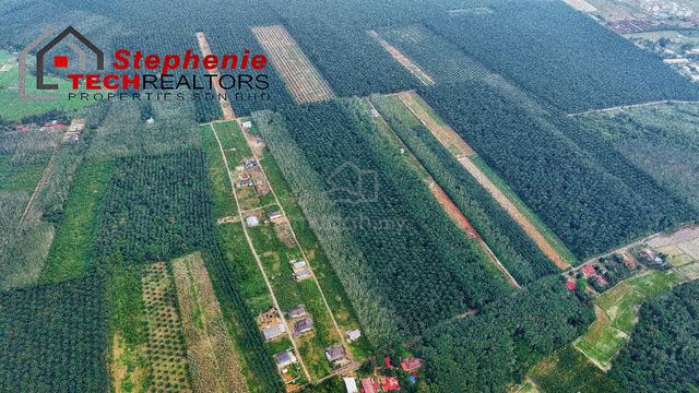 PENDANG SAINS MARA 3 CoMBINE FLAT SQUARE LAND BESIDE ROAD NEAR GURUN 1