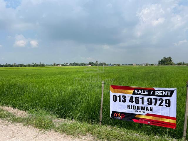 View Cantik Tanah Sawah Blok E Sawah Sempadan, Tanjong Karang 1