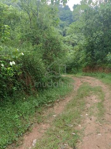 TANAH PERTANIAN 9.86 EKAR Kampung Relau 1