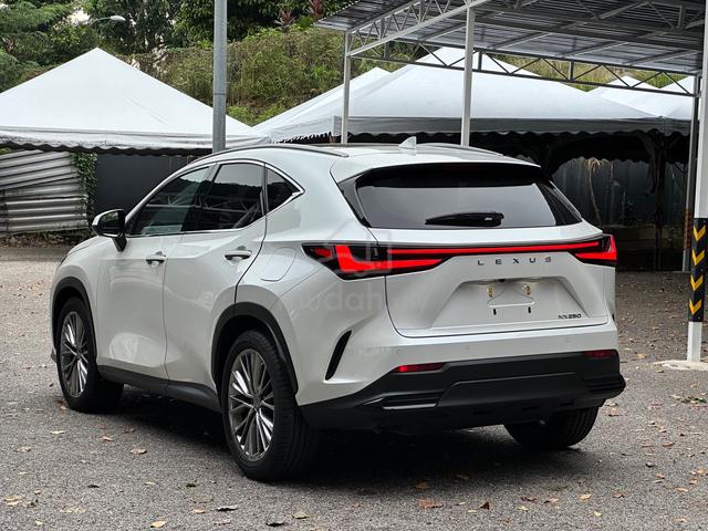 UNREG 2023 Lexus NX250 2.5 LUXURY-LOW MILEAGE-5A - 4