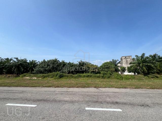 Agricultural Land, Kampung Kelanang, Kuala Langat, Banting 1