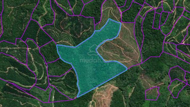 Freehold Native Area - Country Land @ Jakar Road, Sarikei. 1