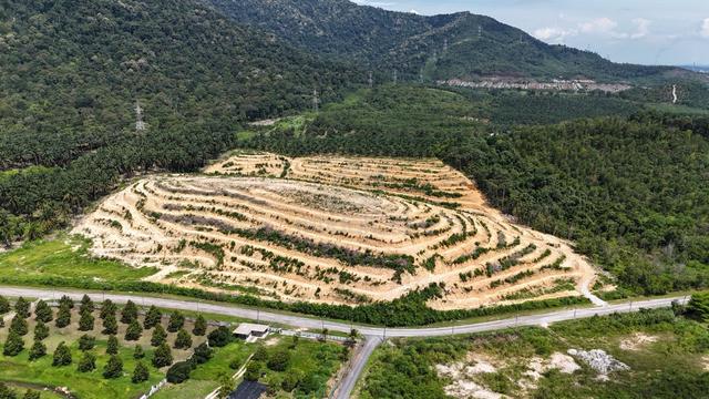 20 Acres Seremban 2km KIP mall, Jalan Kanla Pilah, Senawang 1