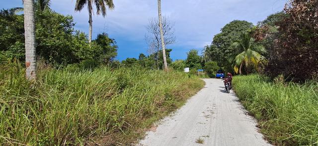 Tanah Pertanian Kg. Penor Baru, Kuantan. 1