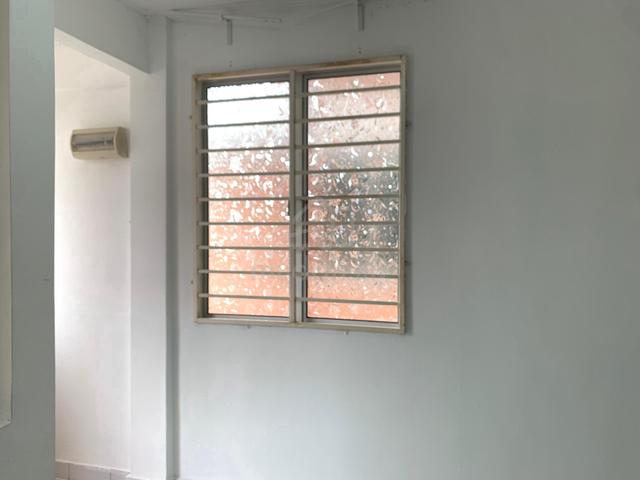Alam Budiman (Sri Budiman) 4