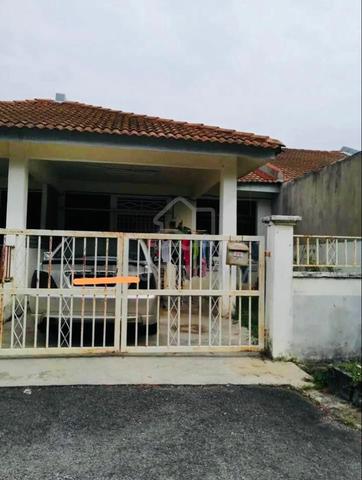 Rumah untuk di sewa 1