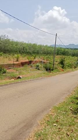 tanah sawit untuk dijual 3 acre.  1